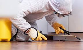 Best Residential Pest Control  in Highfill, AR